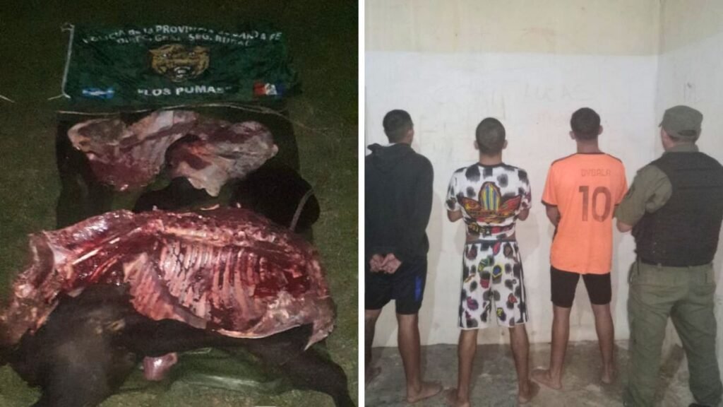 Detienen a cuatro personas por abigeato en las islas de Arroyo Leyes