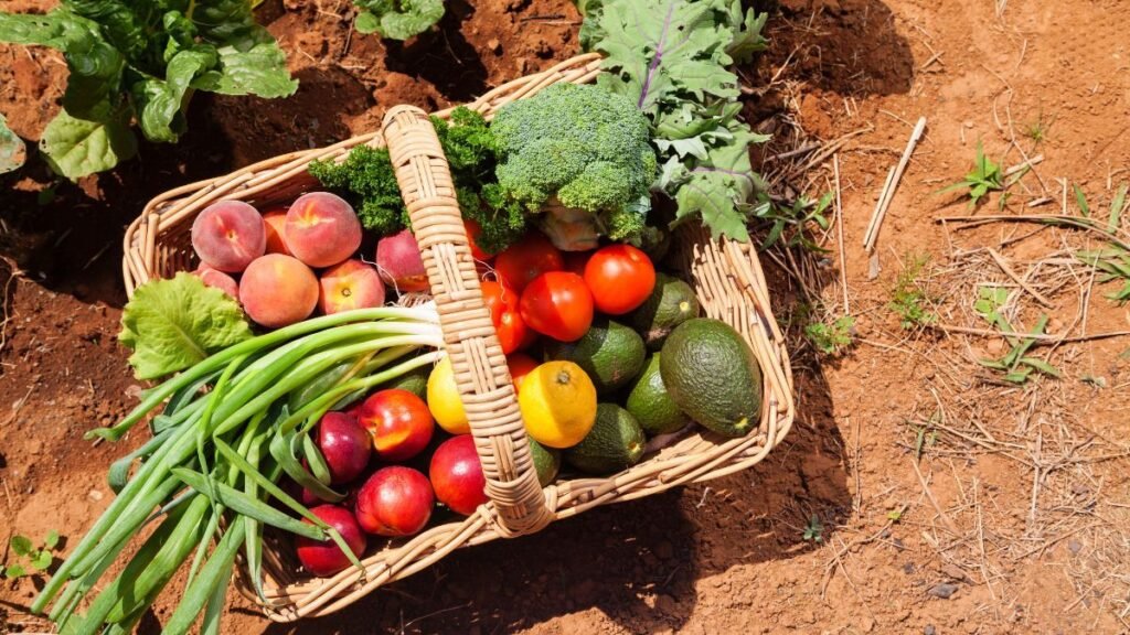 Senasa anunció una resolución que elimina restricciones en la exportación de frutas y hortalizas