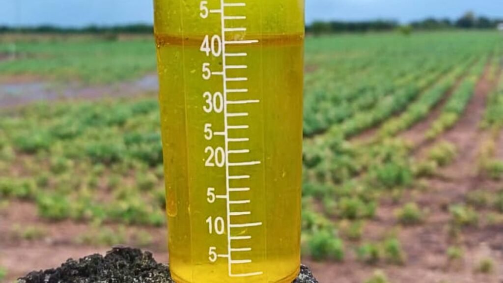 Lluvias en Santa Fe: ranking de milímetros caídos y proyectados para los próximos días