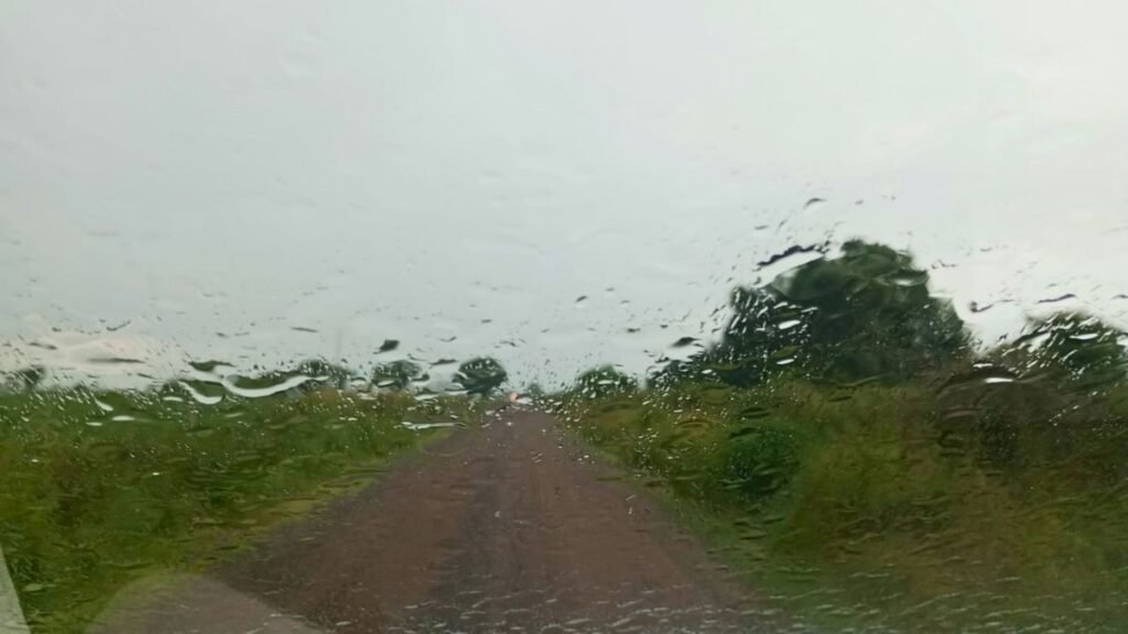 “Es como una mina de oro”: productores del centro norte de Santa Fe celebran las lluvias