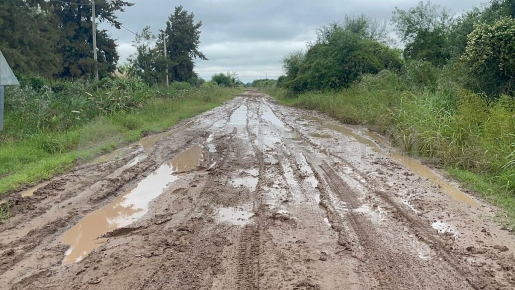 Tasa por Hectárea: el conflicto entre el agro y los municipios llega a la reforma constitucional de Santa Fe