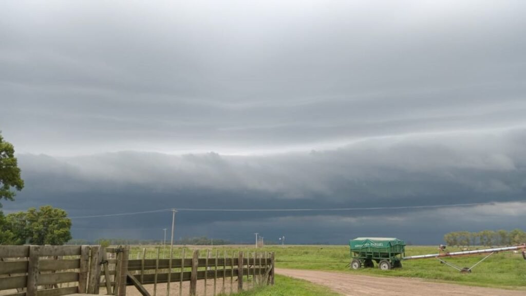 El agro santafesino, asfixiado por los impuestos: fuertes críticas a la Provincia y la Nación