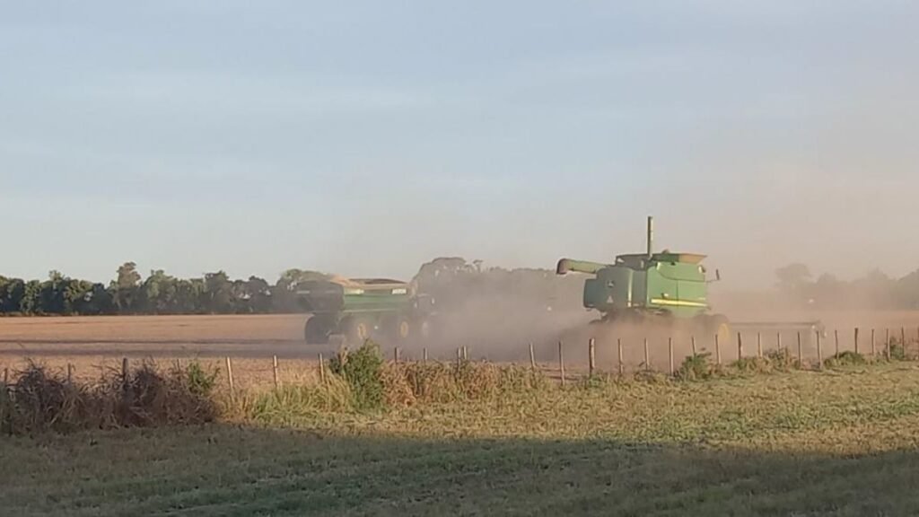 Soja temprana en Santa Fe: producción final supera las 3,5 millones de toneladas