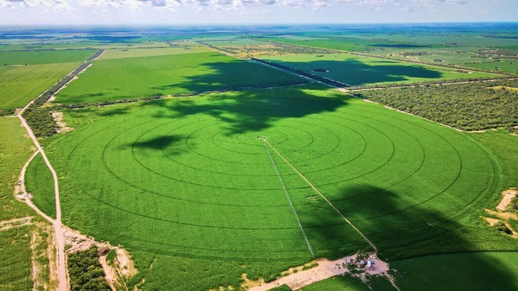 Economía circular en el campo: maximizar recursos, minimizar residuos