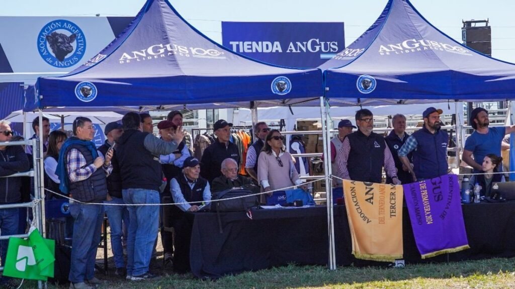 El trabajo detrás de la Semana Angus en Palermo: sincronización entre genética y logística