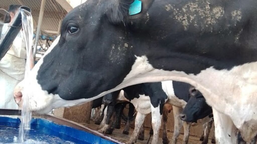 TodoLáctea 2025: destacan grandes inversiones en agua, instalaciones clave para la producción lechera