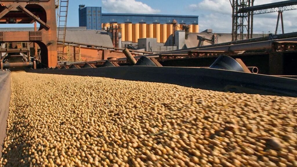 Las nuevas exigencias de la Unión Europea para exportar soja reavivan el debate sobre la segregación física