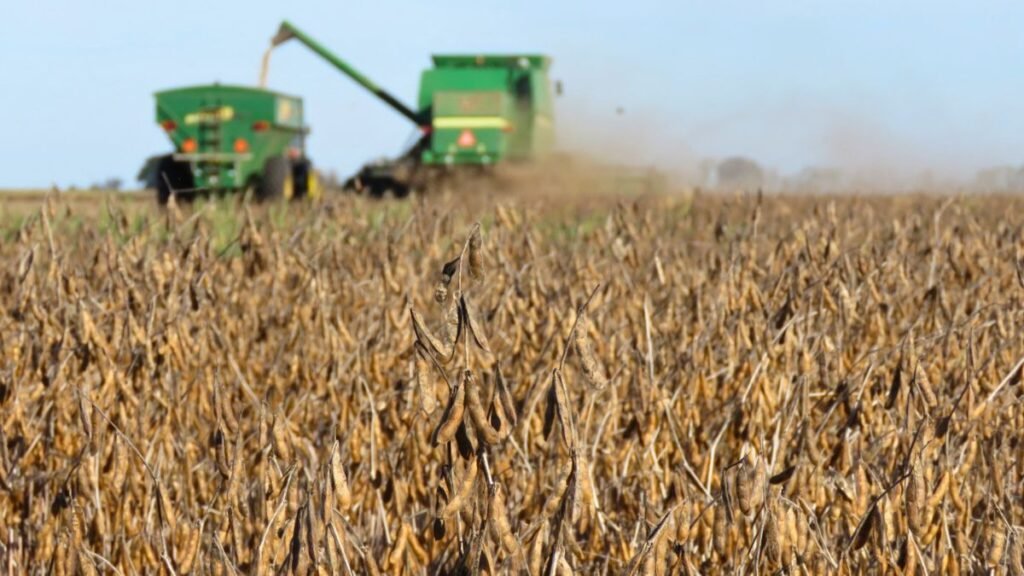 Soja temprana en Santa Fe: producción histórica pero con resultados desiguales