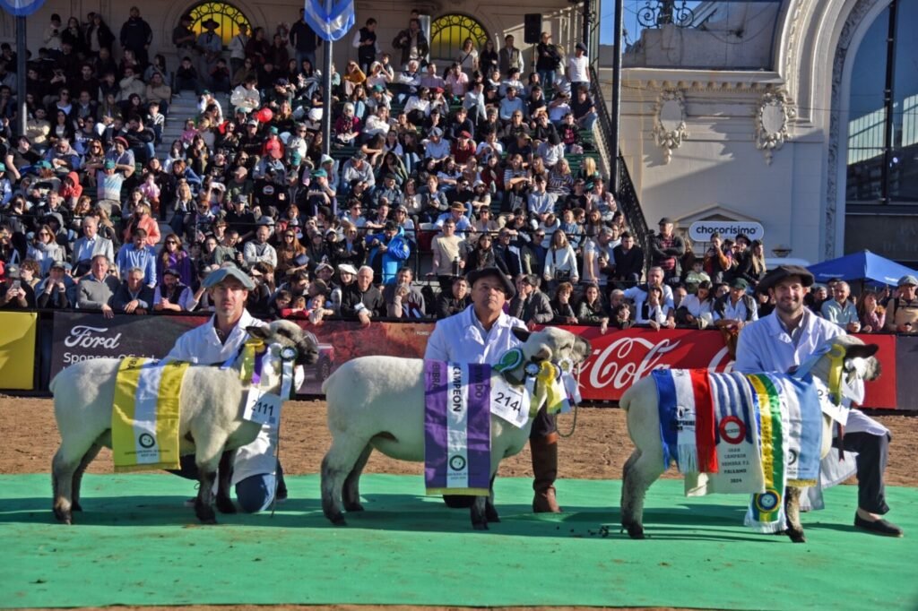 Hampshire Down llega a Palermo con fuerza: 22 cabañas, genética de excelencia y la cuenta regresiva para el Congreso Mundial