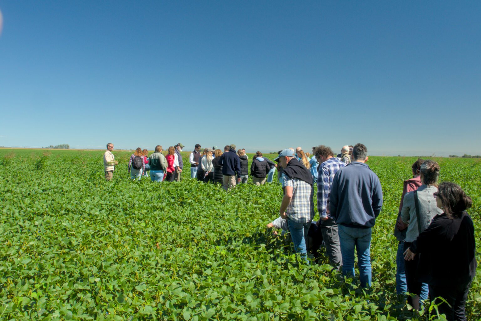 Herramientas para producir en el límite entre el campo y la ciudad