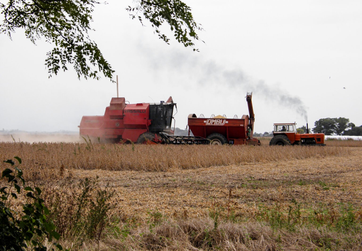 Retenciones cero agotadas en 72 horas: Carsfe pide que se reimplanten y se prolongue el beneficio