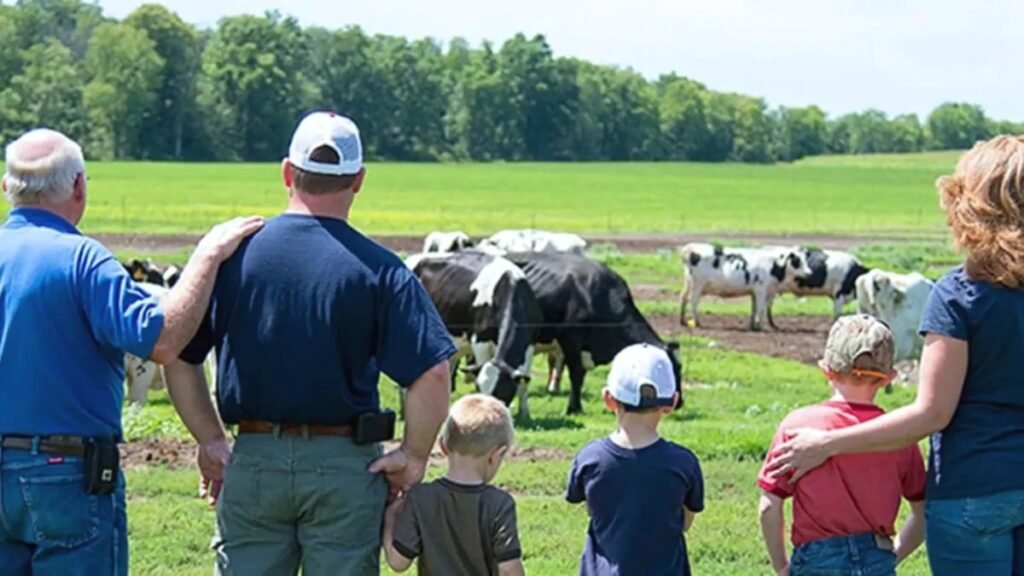 Empresas familiares agropecuarias: Hablar de plata, roles y sucesión sin pelear en la mesa de los domingos