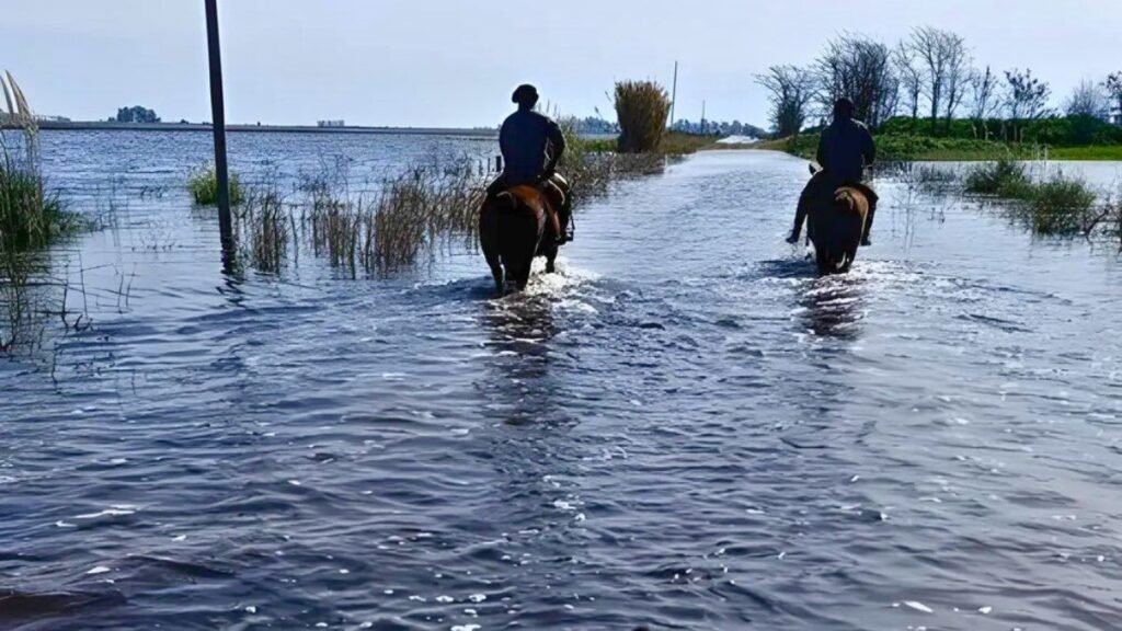 Reclamos del campo tras las lluvias: CRA advierte por la falta de infraestructura en la zona núcleo