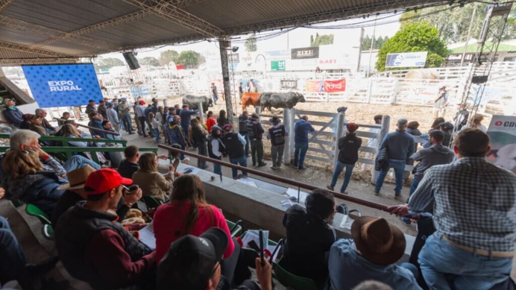 Hoy comienza la 81° Expo Rural de San Justo: cuatro días de ganadería, negocios y espectáculos para toda la familia