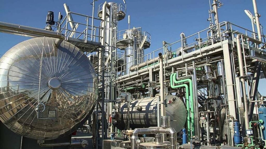 El biodiésel argentino en jaque: industrias paralizan plantas y piden auxilio a Economía