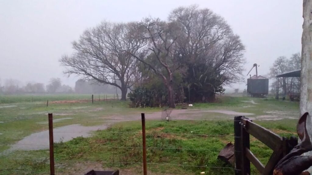 Tormenta de Santa Rosa: el impacto en la producción agrícola y ganadera de Santa Fe