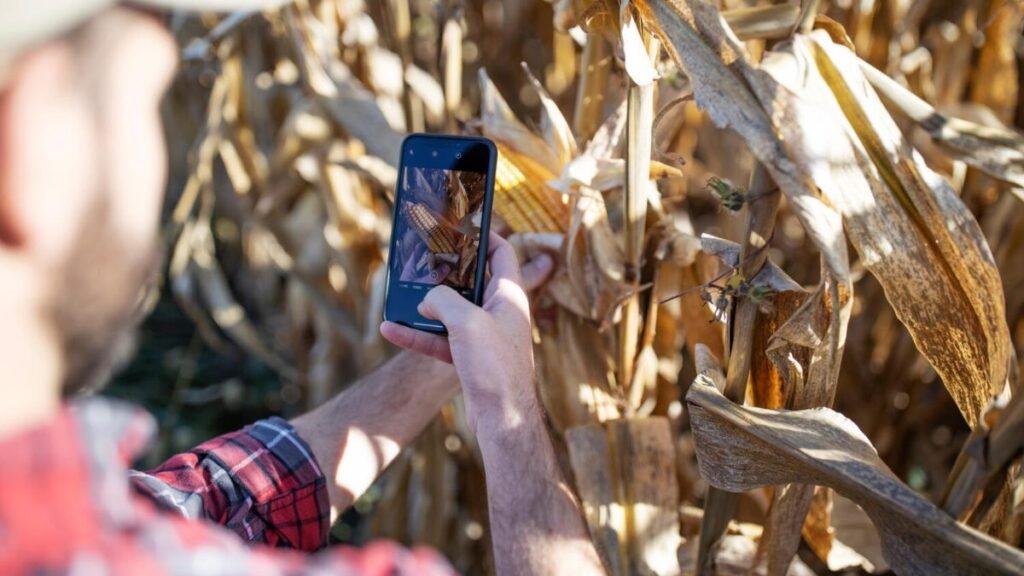 SRA y Aapresid pisan el acelerador de la digitalización: lanzan Conecta para integrar las AgTech del agro