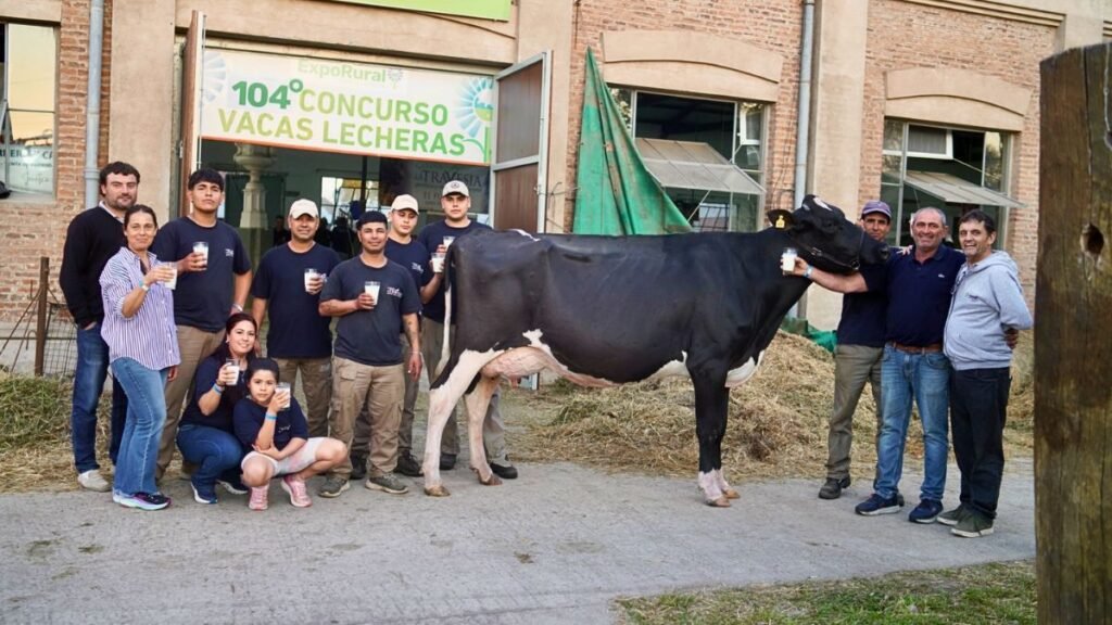Oasis, una hija de Captain, se consagró campeona del 104° Concurso de Vacas Lecheras