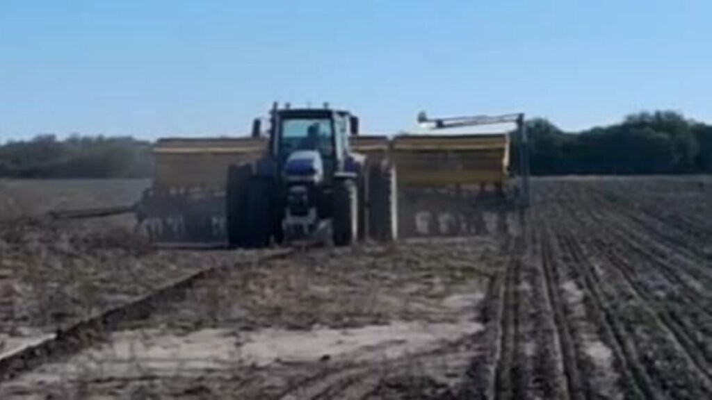 Santa Fe: las lluvias afectaron la siembra de girasol y maíz en centro norte provincial