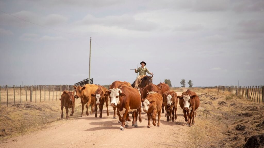 Día del Trabajador Rural: por qué se celebra hoy, miércoles 8 de octubre