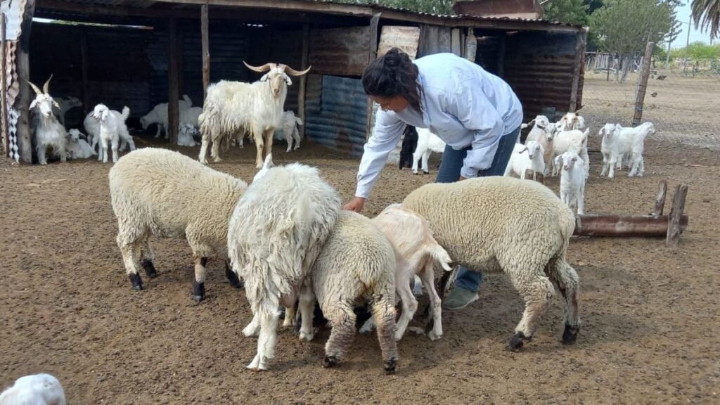 Día Internacional de la Mujer Rural: por qué se celebra hoy