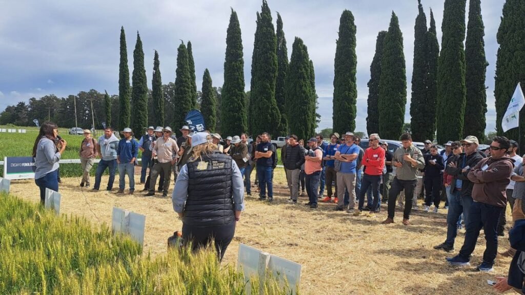 La estrategia multiespecie gana terreno como modelo de rentabilidad y sustentabilidad