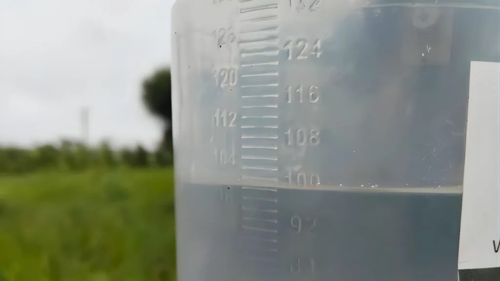 Ránking de lluvias: se potencia el buen escenario productivo del maíz en Santa Fe