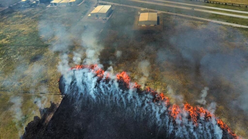 Incendios en áreas productivas: impacto económico y ambiental