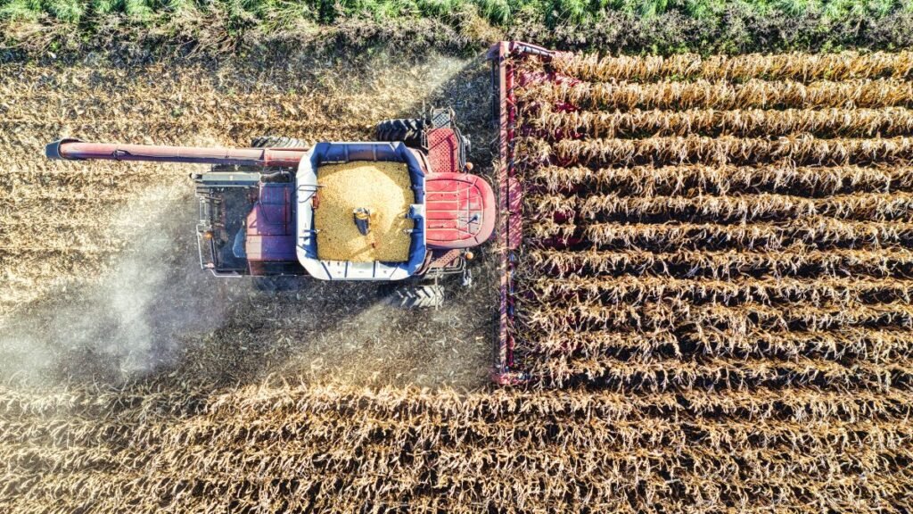 La actividad agropecuaria alcanzó un récord histórico en diciembre