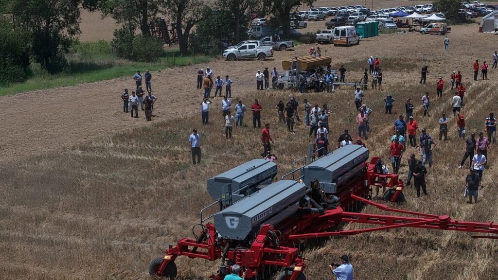 Giorgi cerró un año marcado por la innovación y proyecta nuevos desarrollos para 2026