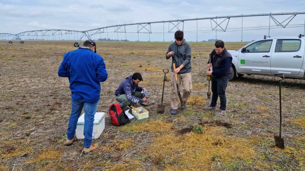 El riego, un plus productivo que gana terreno: tecnología para decidir mejor cada milímetro de agua
