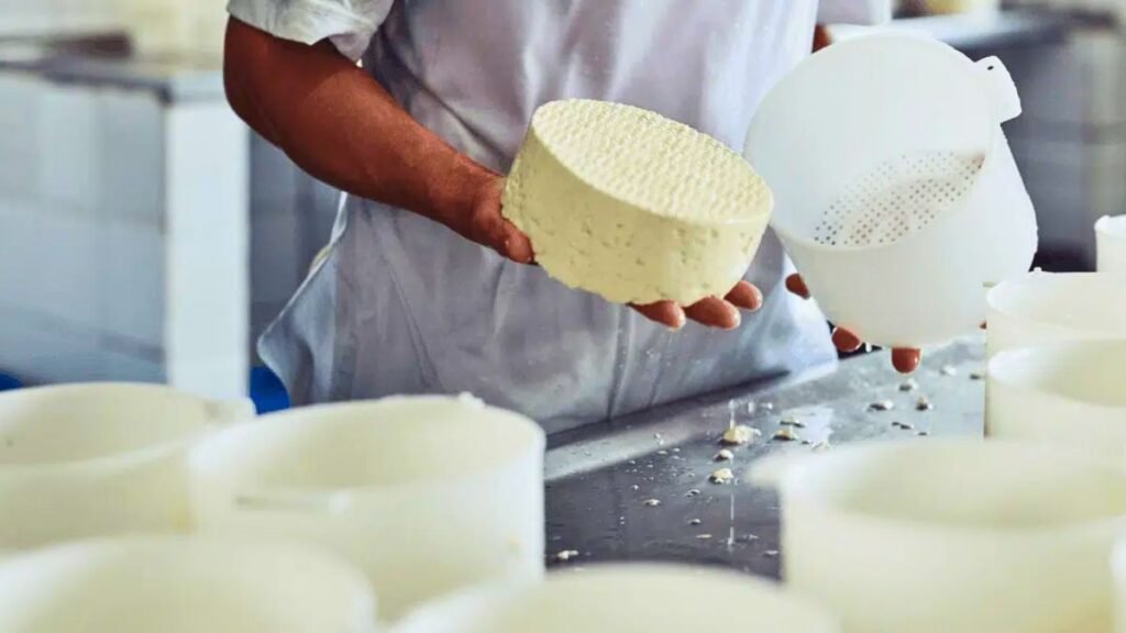 Cambios en la industria láctea: el auge del suero tensiona al queso y reconfigura el negocio