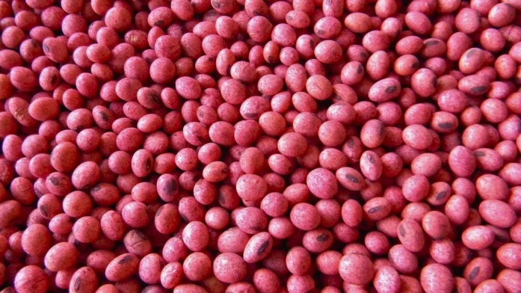 Ley de semillas: fuerte crítica de Apronor y llamado al diálogo de CRA