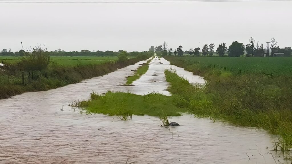 Lluvias en el centro norte santafesino: cosecha parada y caminos intransitables