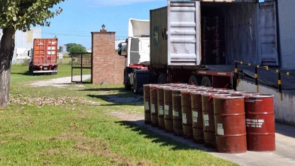 Miel santafesina al mundo: una cooperativa apícola consolida exportaciones y proyecta nuevos mercados