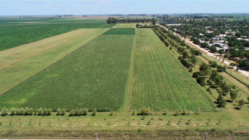 Periurbanos: cómo integrar naturaleza, producción y ciudades