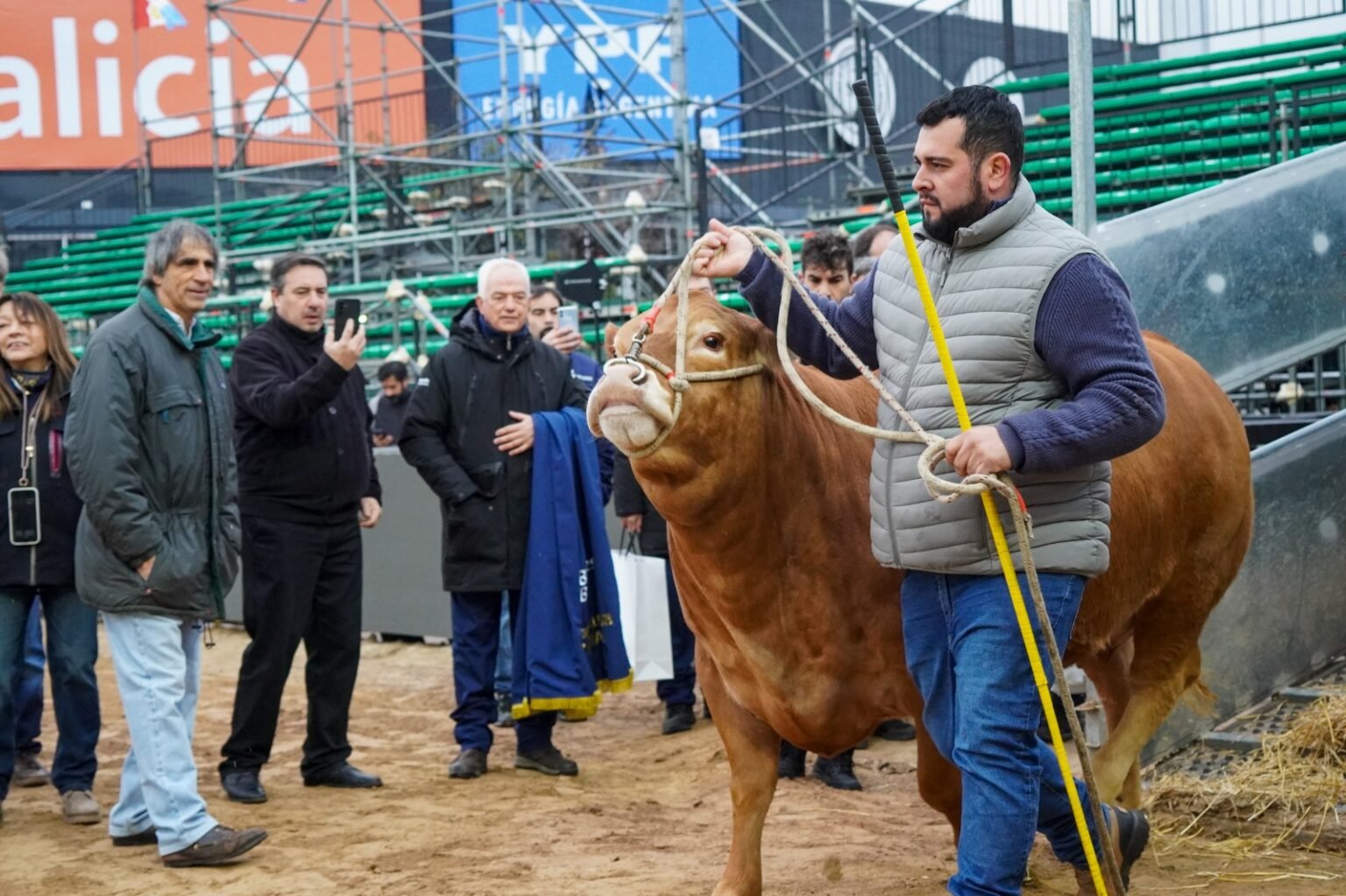 Llegaron Tim Payne, Tini Tini y De Paul a Palermo: los primeros animales de la Expo Rural 26