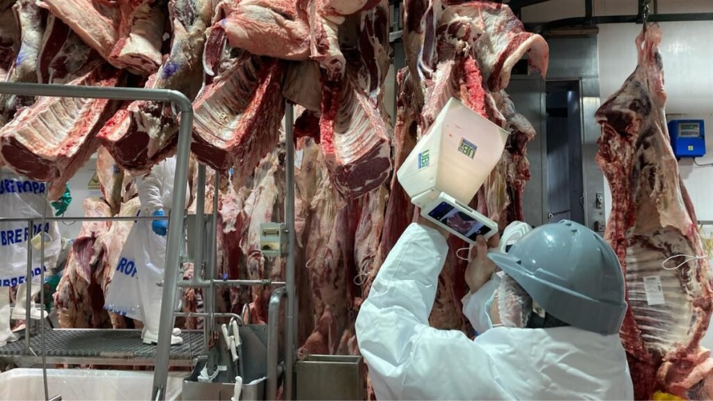 La startup que nació para medir la calidad de la carne va por Estados Unidos, Europa y Australia
