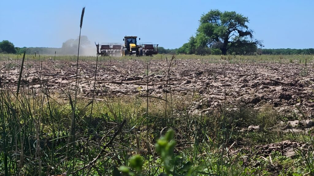 Nanotecnología y manejo integral: cómo recuperar suelos y ganar productividad en el campo