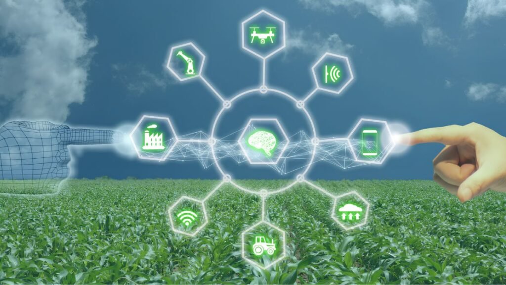 Inteligencia artificial en el agro: cómo transformar los datos de cada hectárea en mejores decisiones