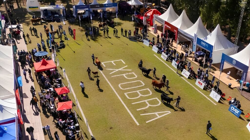 ExpoBRA 2026: quiénes fueron los grandes campeones y cuánto se pagó por los reproductores