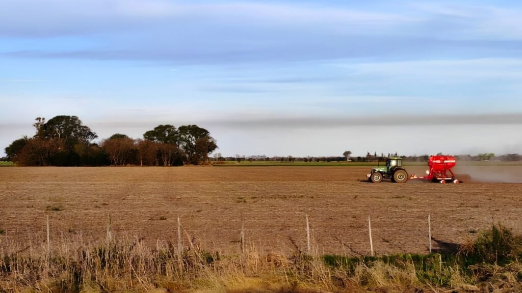 El clima dio un respiro al campo santafesino, pero el algodón y el maíz de segunda siguen demorados